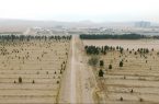 اجرای طرح نجات فضای سبز بوستان معصومیه قم/صرفه‌جویی ۵۰ درصدی مصرف آب
