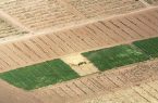بحران خشکسالی در ایلام/ میزان تولیدات کشاورزی استان کاهش یافت