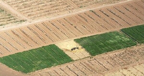 بحران خشکسالی در ایلام/ میزان تولیدات کشاورزی استان کاهش یافت