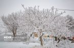 برف و سرما اصفهان را فرا می‌گیرد