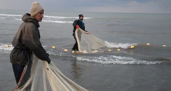 صید ۳۸۰ تُن ماهی استخوانی از دریای خزر