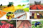 همکاری‌های ۲ جانبه اصفهان و روسیه در بخش کشاورزی افزایش می‌یابد