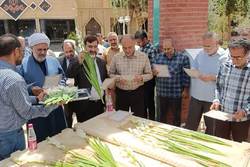 مراسم غبارروبی و تجدید میثاق با شهدا در صداوسیمای مرکز قم برگزار شد