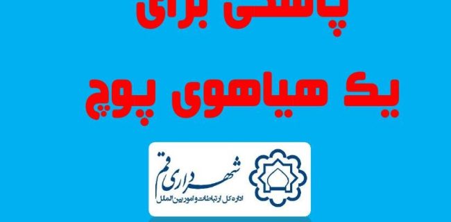 پاسخی برای یک هیاهوی پوچ