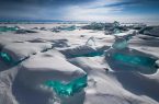 کرم‌های ۴۶ هزار ساله از خواب زیر یخ‌ها بیدار شدند