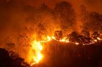 علت آتش‌سوزی جنگل‌های مریوان چیست؟