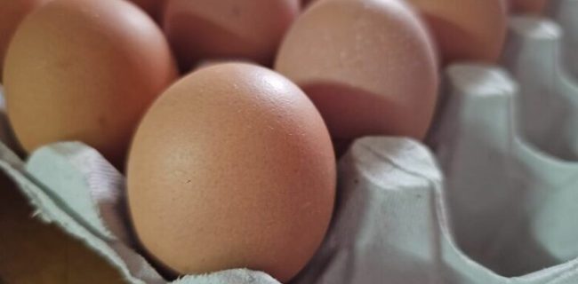 مصرف بیش از حد تخم‌مرغ  باعث بروز واکنش آلرژیک می‌شود