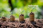 ابتکار رومانی در راستای اقتصاد پایدار سبز