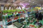 برگزاری نمایشگاه گل و گیاه در اصفهان