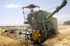 به‌کارگیری ۵۵۰ کمباین مهاجر برای برداشت غلات در قزوین