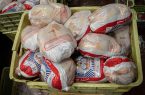 تولید ۸۵ هزار تن مرغ در قزوین تا پایان سال جاری
