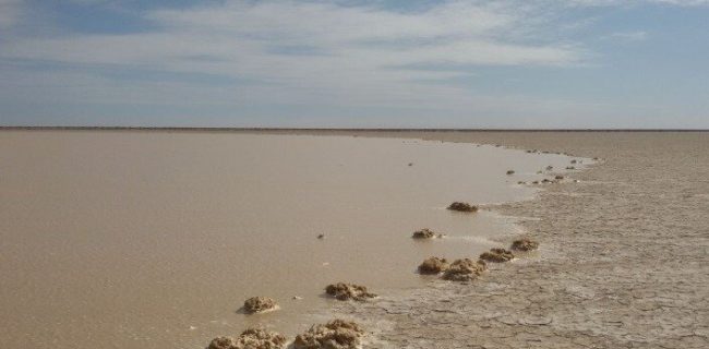 حدود ۵۰ درصد تالاب هامون آب‌گیری شد