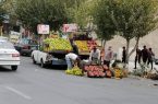 طرح ساماندهی وانت‌های میوه‌فروش در سنندج آغاز شد
