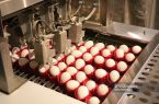 پیش‌بینی تولید ۱۰۵ هزار تن تخم‌مرغ در قزوین
