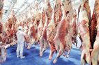 استقرار ناظران بهداشتی در مبدا واردات گوشت اجباری شد