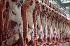 تولید گوشت قرمز کشور در چه وضعیتی است؟