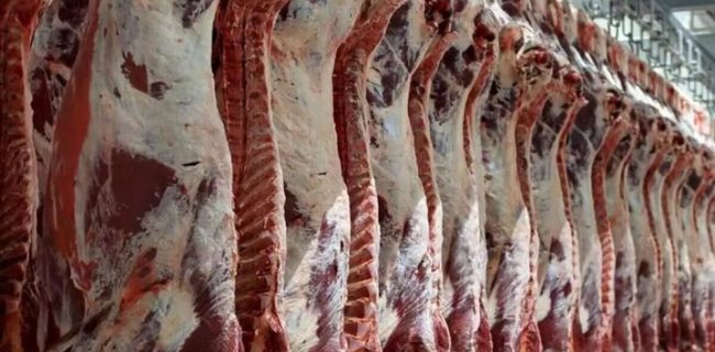 تولید گوشت قرمز کشور در چه وضعیتی است؟