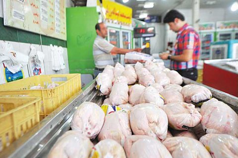 قیمت گوشت و مرغ امروز ۶ مرداد ۱۴۰۳ + جدول بازار کوثر