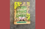 کتاب «حفظ ماندگار» رونمایی می‌شود