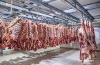 گمرک ایران سود بازرگانی انواع گوشت را صفر اعلام کرد