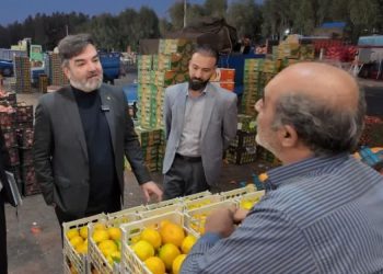 تلاش برای قیمتگذاری یکنواخت و متعادلسازی قیمتها در میادین و بازارهای میوه و ترهبار قم